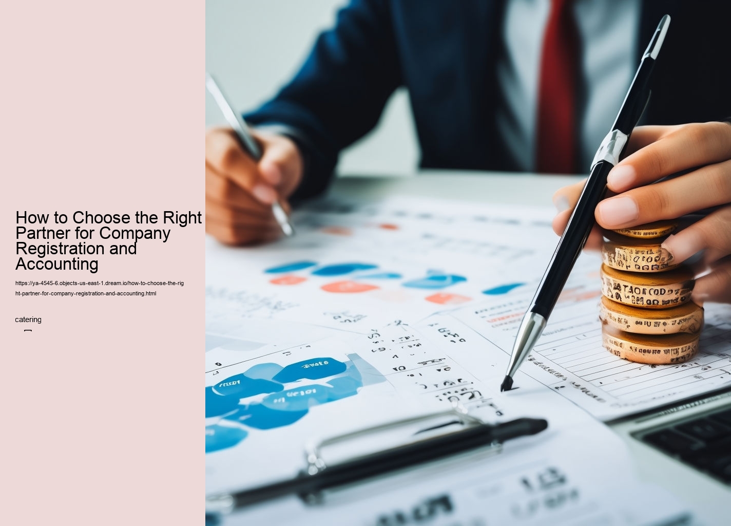 How to Choose the Right Partner for Company Registration and Accounting